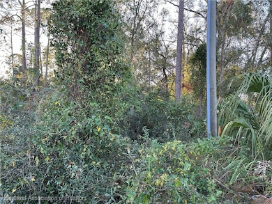 0 Golfview Rd, Sebring, FL 33875 - photo 3