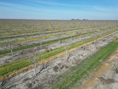 0 Moc: Oliveira Ranch unit 629392, Lemoore, CA 93245 - photo 4