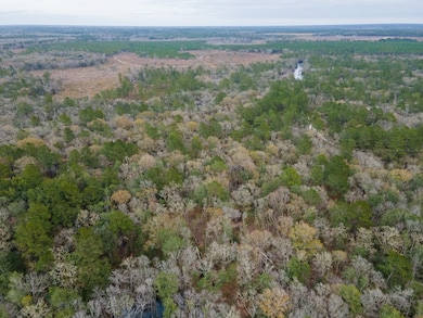 6345 Lake Alapaha Blvd, Naylor, GA 31641 - photo 3