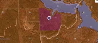 00 Roscoe Collett Rd, Dawsonville, GA 30534 - photo 3