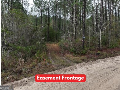 0 Off Doc McTier Rd unit 10656659, Baxley, GA 31513 - photo 2