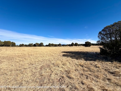 102 Tiwa Trail, Alto, NM 88312 - photo 2