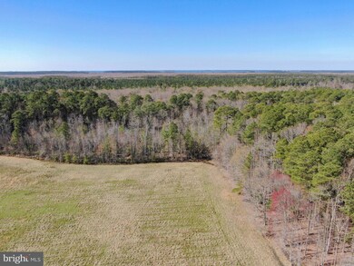 2051 Liners Rd, Church Creek, MD 21622 - photo 5