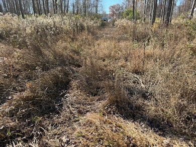 3498 Winter Holly Dr, Batavia Township, OH 45102 - photo 5