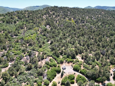 DJI_0094 (1)