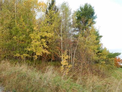 00 Geoffrey Rd, Newport, VT 05857 - photo 3