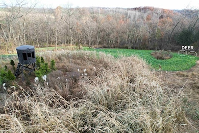 32974 Potter Ln, Muscoda, WI 53573 - photo 6