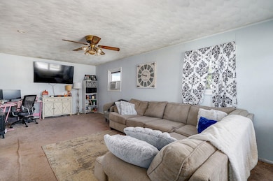 307 N West Ave, Springfield, MO 65802 - photo 4