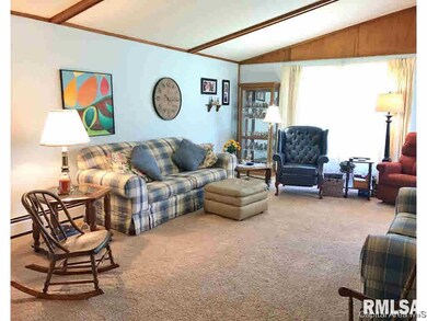 2382 Hammer Rd, Arenzville, IL 62611 - photo 6