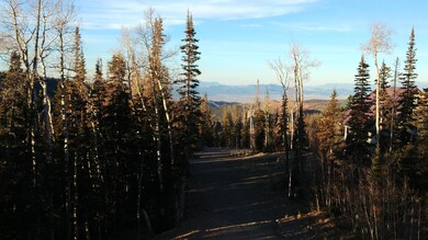 Jensen Street View
