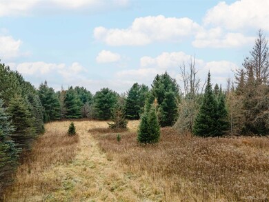 200 Olson Loop, Iron River Township, MI 49935 - photo 4