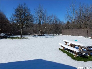 Backyard.