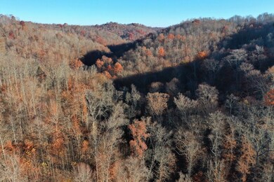 0 Ky 828 Lot unit Wp002, Webbville, KY 41180 - photo 6