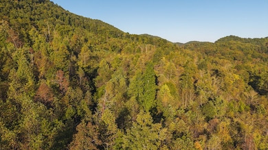 97 Acres Black Valley Rd, Sneedville, TN 37869 - photo 6