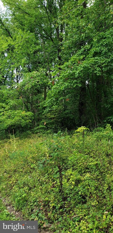 0 Pickford Ct unit VAWR2000688, Shenandoah, VA 22630 - photo 4