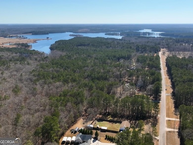 435 Moccasin Gap Rd, Jackson, GA 30233 - photo 5