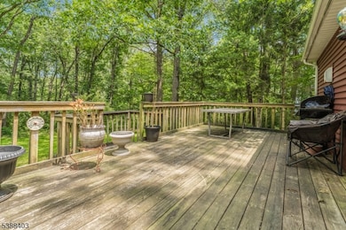 20 S Polktown Rd, Hampton, NJ 08827 - photo 5