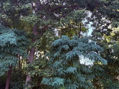 11XX 1st St, Saint Paul Park, MN 55071 - photo 7