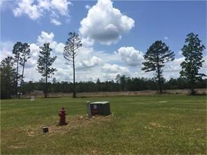 LOT 19 Wood Oaks Ct, Picayune, MS 39466 - photo 2