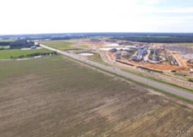 0 Foley Expy unit 562796, Foley, AL 36535 - photo 4