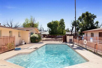 DSC_9501pool