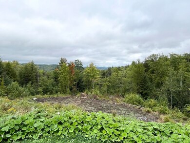 637 Dexter Mountain Rd, Glover, VT 05839 - photo 4