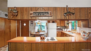 183 Bartimous Rd, Bailey, CO 80421 - photo 7