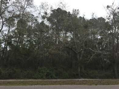 0 Duval Rd unit 868300, Jacksonville, FL 32218 - photo 2