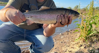 0 Monroe Mountain Rd, Monroe, UT 84754 - photo 6