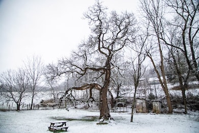 20217 Shadowood Cir, Meadowview, VA 24361 - photo 2