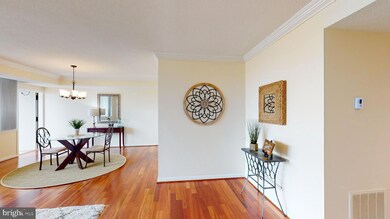 3709 S George Mason Dr unit 1615 EAST, Baileys Crossroads, VA 22041 - photo 6