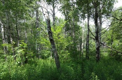 Near State Highway 86, Tomahawk, WI 54487 - photo 3