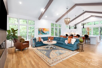 559 Shining Rock Path, Horse Shoe, NC 28742 - photo 3