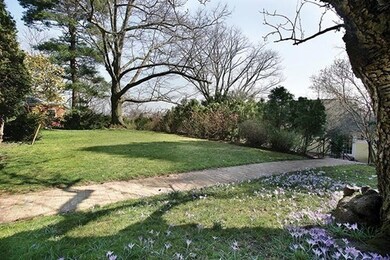 67 Rawson Rd, Brookline, MA 02445 - photo 2