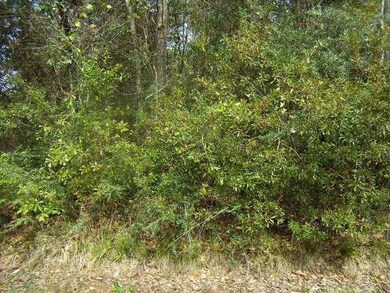 LOT 70 Hermina St, Slidell, LA 70460 - photo 6