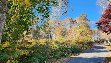 17 Angus Ave, South Yarmouth, MA 02664 - photo 3