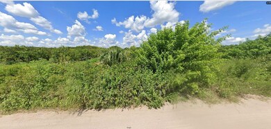 0 Holopaw Groves Rd unit MFRO6241864, Saint Cloud, FL 34773 - photo 3