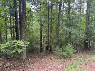 0 Cave Ridge Rd, Hinton, WV 25951 - photo 5