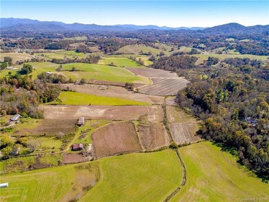 TBD Jones Rd, Leicester, NC 28748 - photo 3