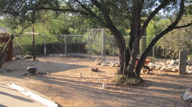 IMG_4369[1]