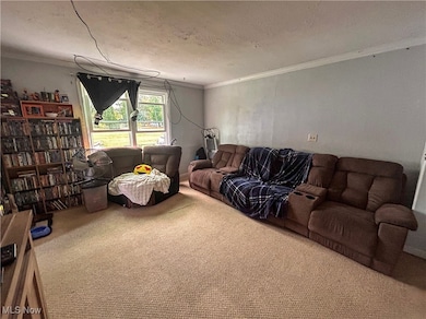 7932 Wayland Ave, Kinsman, OH 44428 - photo 4