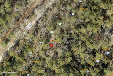 687 Eastwind Dr SW, Supply, NC 28462 - photo 2