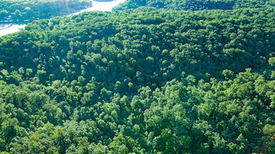 Tbd Sandy Rd, Cross Timbers Township, MO 65326 - photo 3