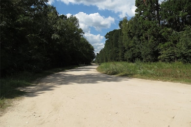 10.24 Acres Townley Ranch Rd, Dodge, TX 77320 - photo 6