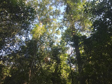 010 R C Thomas Rd, Hattiesburg, MS 39401 - photo 7