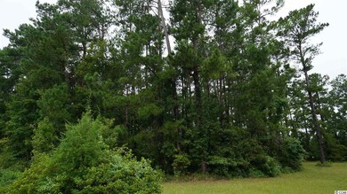 450 Boggy Rd, Conway, SC 29526 - photo 3