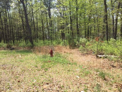 0000 Mckinley Ave, Bayville, NJ 08721 - photo 5