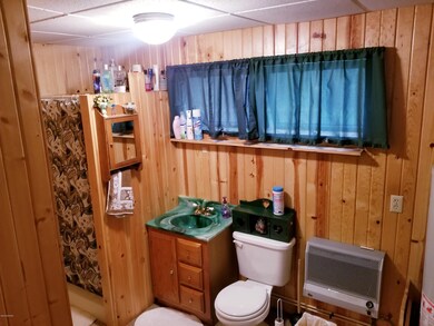 9643 S Beechnut Ave, Baldwin, MI 49304 - photo 5