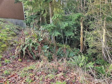 9999 E 5th St Lots 9-12 Blk 186, Port Angeles, WA 98362 - photo 4