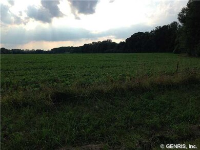Land/Lot